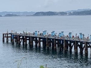 下津ピアーランド