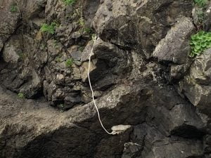 田村漁港北の地磯