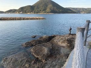 和歌山エギングポイント柏