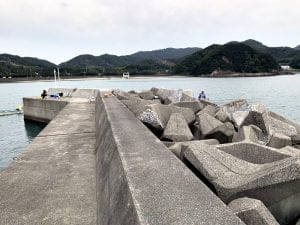 中紀のエギングポイント小浦