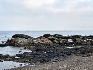 中紀のエギングポイント三尾漁港