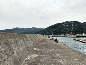 中紀のエギングポイント阿尾