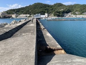 紀北のエギングポイント和歌浦漁港