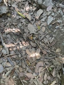 和歌山紀北のエギングポイント下津加茂川河口の白灯