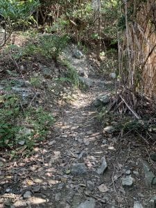 和歌山紀北のエギングポイント下津加茂川河口の白灯