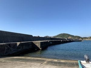 中紀エギングポイント