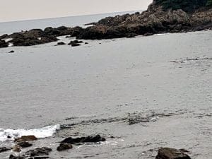 中紀のエギングポイント三尾漁港