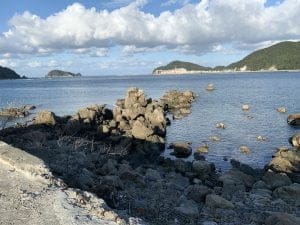 和歌山エギングポイント柏