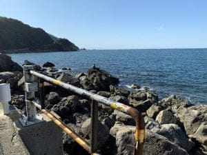 中紀エギングポイント