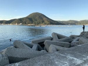 和歌山エギングポイント柏