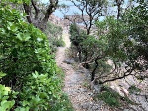 中紀のエギングポイント潮吹き岩