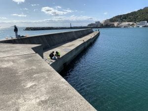 和歌山エギングポイント和歌浦新波止