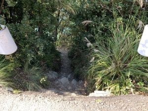 和歌山紀北のエギングポイント下津加茂川河口の白灯