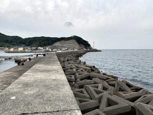 中紀のエギングポイント阿尾