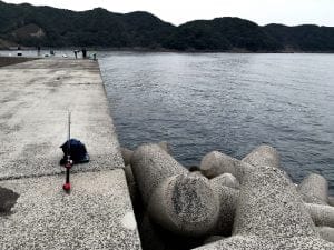 中紀のエギングポイント方杭