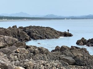 中紀のエギングポイント潮吹き岩