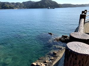 和歌山エギングポイント神谷漁港