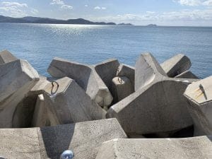 紀北のエギングポイント和歌浦漁港