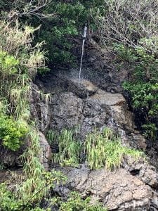 中紀のエギングポイント潮吹き岩