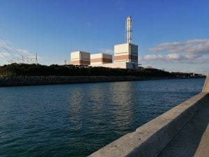 日高港エギング