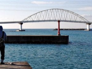 日高港エギング