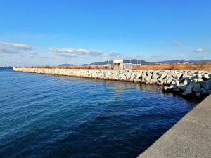 日高港エギング