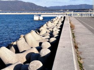 日高港エギング