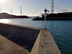 日高港エギング