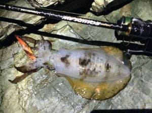 スキッドロウ インペリアル86Lスラックマスター