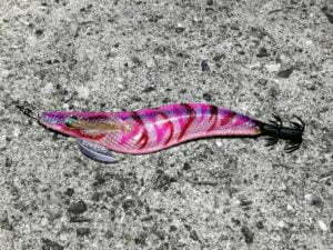 和歌山エギング