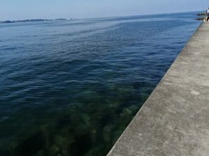 湊浦漁港エギングポイント