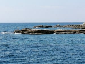 見草漁港エギングポイント