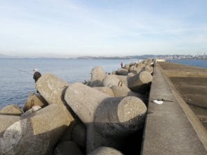 和歌山中紀エギング