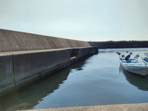 淡路島エギング_灘漁港