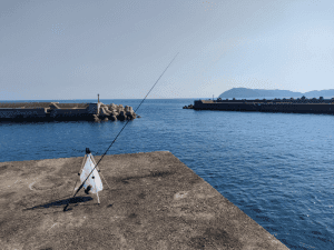 淡路島エギング_灘漁港
