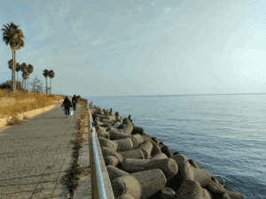 津名漁港_エギングポイント