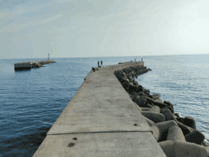 津名漁港_エギングポイント