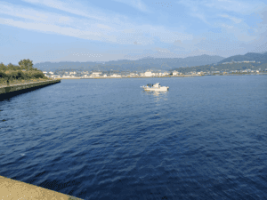 津名漁港_エギングポイント