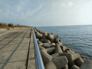 津名漁港_エギングポイント