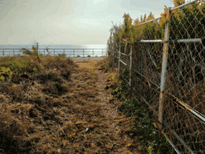 津名漁港_エギングポイント