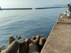 津名漁港_エギングポイント