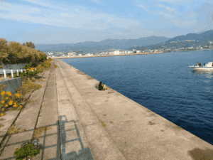 津名漁港_エギングポイント