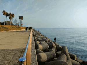 津名漁港_エギングポイント