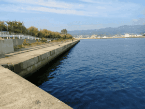 津名漁港_エギングポイント