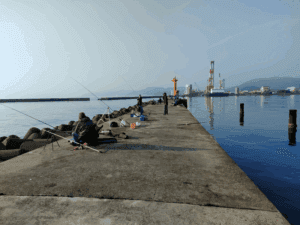 津名漁港_エギングポイント