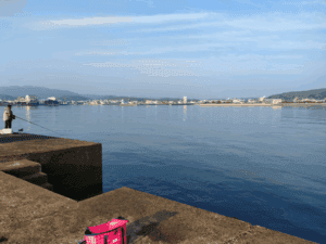 津名漁港_エギングポイント