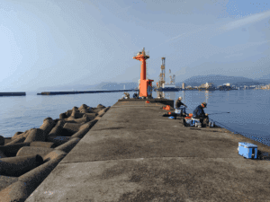 津名漁港_エギングポイント