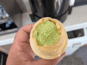 エギング和歌山中紀