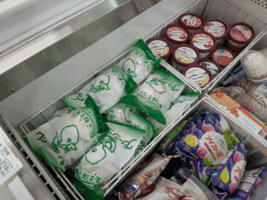 エギング和歌山中紀