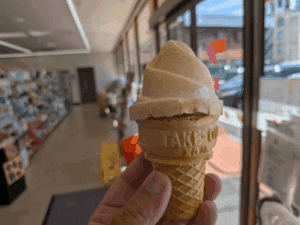 エギング和歌山中紀